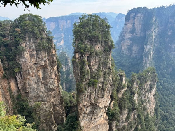 Complete Guide to Zhangjiajie: Avatar Mountains, Glass Bridge & Must-Know Tips (2024)